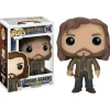 Harry Potter Sirius Black Funko Pop! Vinyl Figure